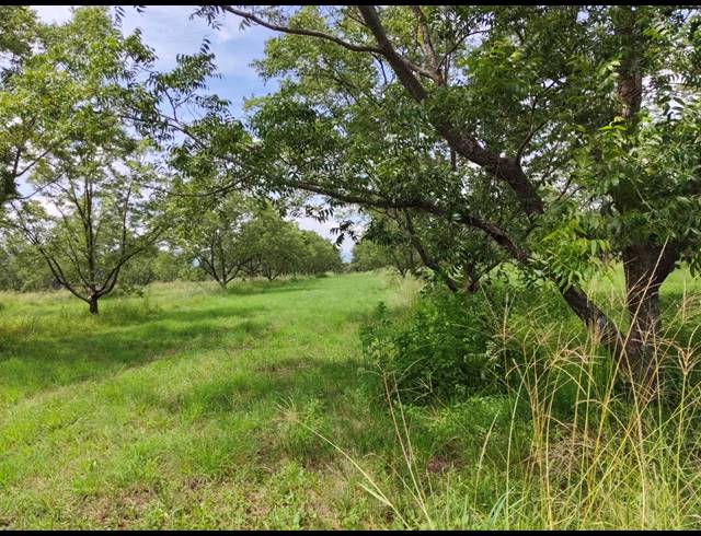 96HA FARM FOR SALE IN HEKPOORT
